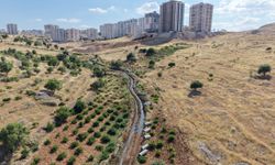 Mardin’de tarım arazilerini koruyacak çalışma: Açık akan dereler yer altına alınıyor