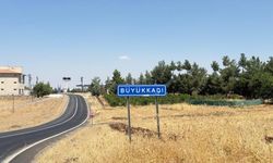 Valilik Duyurdu: Sur İlçesinde Kuduz Vakası Sonrası Geniş Çaplı Önlem