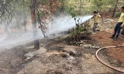 Kilis’te yıldırım sonrası ormanlık alanda yangın