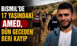 Bismil, Savur'da 17 yaşındaki Amed Eroğlu, dün geceden beri kayıp