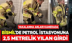 Bismil’de petrol istasyonuna giren 2,5 metrelik yılanın yakalanma anları kamerada