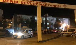 Dereye Düşen 3 Yaşındaki Eslem Hastanede Hayatını Kaybetti