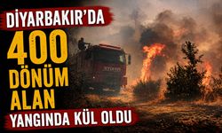 Diyarbakır’da 400 Dönüm Alan Yangında Kül Oldu