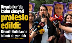Diyarbakır’da kadın cinayeti protesto edildi: Bismilli Gülistan'ın ölümü de yer aldı
