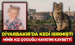 Diyarbakır'da kedi ısırmasıyla kuduz olan kız çocuğu hayatını kaybetti