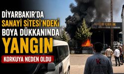 Diyarbakır'da Sanayi Sitesi'ndeki Boya Dükkanında Yangın Korkuya Neden Oldu