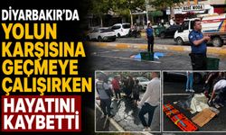 Diyarbakır’da yolun karşısına geçmeye çalışırken hayatını kaybetti