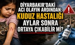 Diyarbakır'daki Acı Olayın Ardından: Kuduz Hastalığı Aylar Sonra Ortaya Çıkabilir mi?