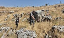 Doğal Yaşamı Bozanlara 5 Milyon TL’ye Kadar Ceza Uygulanacak