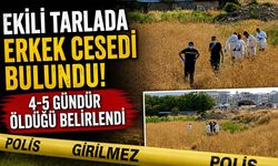 Ekili Tarlada Erkek Cesedi Bulundu! 4-5 Gündür Ölü Olduğu Belirlendi