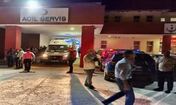 Huysuzlaşan Hayvan Sahibini Boynuzladı: Ağır Yaralandı