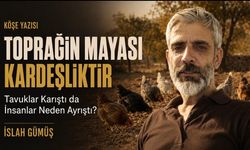 Toprağın Mayası Kardeşliktir: Tavuklar Karıştı da İnsanlar Neden Ayrıştı?