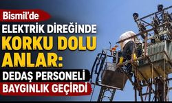 Bismil’de Elektrik Direğinde Korku Dolu Anlar: DEDAŞ Personeli Baygınlık Geçirdi