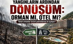 Yangınların Ardından Dönüşüm: Orman mı, Otel mi?