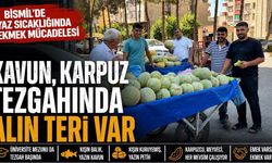 Bismil’de Yaz Sıcağında Ekmek Mücadelesi: Kışın Kuruyemiş, Yazın Kavun-Karpuz Satıyorlar