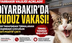 Diyarbakır’da kuduz vakası: Valilikten resmi açıklama