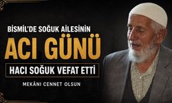 Bismil Üçtepe köyünde Soğuk ailesinin acı günü: Hacı Soğuk vefat etti