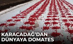 Diyarbakır’ın Karacadağ domatesleri İtalya ve ABD’ye ihraç ediliyor