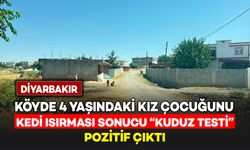 Köyde kedinin ısırdığı 4 yaşındaki kız çocuğunda "Kuduz" testi pozitif çıktı