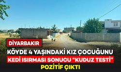 Köyde kedinin ısırdığı 4 yaşındaki kız çocuğunda "Kuduz" testi pozitif çıktı
