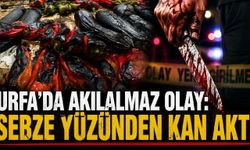 Urfa'da Akılalmaz Olay: Sebze Yüzünden Kan Aktı