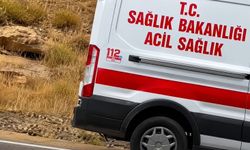 Mardin'de hafif ticari araç takla attı: 1 ölü