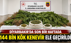 Diyarbakır’da son bir haftada 144 bin kök kenevir ele geçirildi