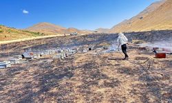Alevlerle Mücadele Ederken Arıların Saldırısına Uğradılar