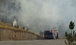Gercüş’te Çıkan Örtü Yangını Söndürüldü