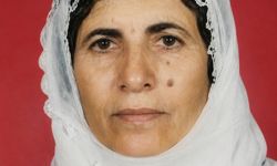 Maskeli saldırganlar yaşlı kadını darbedip altınlarını çaldı