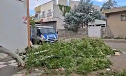 Fırtına, tarlada çalışan işçilere zor anlar yaşattı
