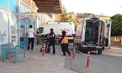 Ceviz toplarken ağaçtan düşen kişi ağır yaralandı