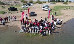 Çamgazi Barajı’na 680 Bin Yavru Sazan Bırakıldı