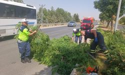 Şiddetli rüzgar ağacı yola devirdi