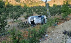 Kontrolden çıkan otomobil meyve bahçesine devrildi: 4 yaralı