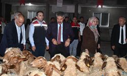 Cumhurbaşkanlığı Desteğiyle Kadın Çiftçiye Hayvancılık Desteği