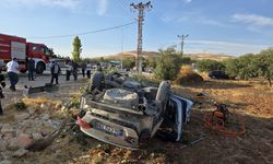 Otomobil fıstık tarlasına uçtu: Bir ölü, 6 yaralı