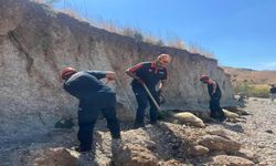 Toprak Kaymasında Can Pazarı: 3 Küçükbaş Kurtarıldı, 6'sı Telef Oldu