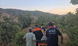 Palamut toplarken kayboldu: Ormanlık alanda bulundu