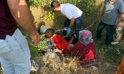 Gölbaşı’da ceviz toplarken ağaçtan düştü: 1 yaralı