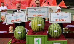 Diyarbakır Renkler ve Lezzetlerle Buluştu: 16. Karpuz Festivali Coşkusu
