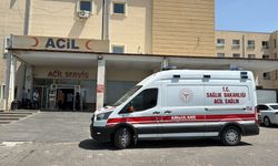 Direksiyon hâkimiyetini kaybetti, otomobil yoldan çıktı