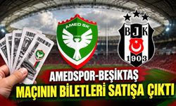 Amedspor-Beşiktaş maçının biletleri satışa çıktı