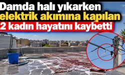 Damda halı yıkarken elektrik akımına kapılan 2 kadın hayatını kaybetti