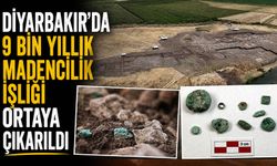 Diyarbakır'da 9 bin yıllık madencilik işliği ortaya çıkarıldı