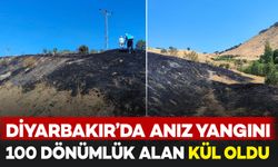 Diyarbakır’da anız yangını: 100 dönümlük alan kül oldu