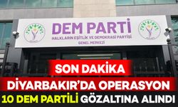 Diyarbakır’da operasyon: 10 DEM Partili gözaltına alındı