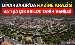 Diyarbakır’da Hazine arazisi satışa çıkarıldı: İhale tarihi belli oldu