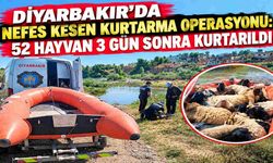 Diyarbakır'da Nefes Kesen Kurtarma Operasyonu: 52 Hayvan 3 Gün Sonra Kurtarıldı