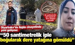 Diyarbakır'da Rojda cinayetinde yeni gelişme: "50 santimetrelik iple boğularak dere yatağına gömüldü"